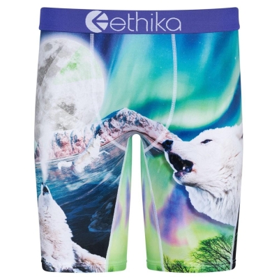 Staple Underwear Ethika Aurora Wolves ανδρικα Πολύχρωμο | YBHZ-46920
