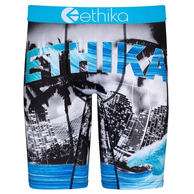 Staple Underwear Ethika 5-0 ανδρικα ασπρα μπλε | BIRW-96532